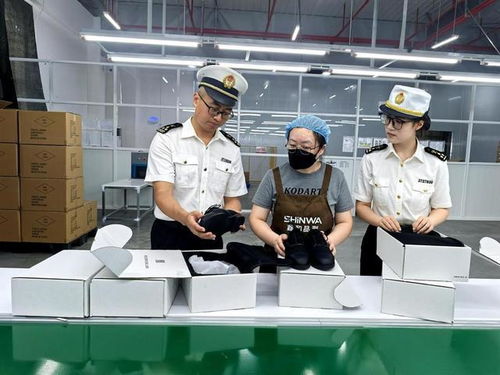 前7个月泉州市保税物流进出口业务突破百亿元大关，同比增长19.7%